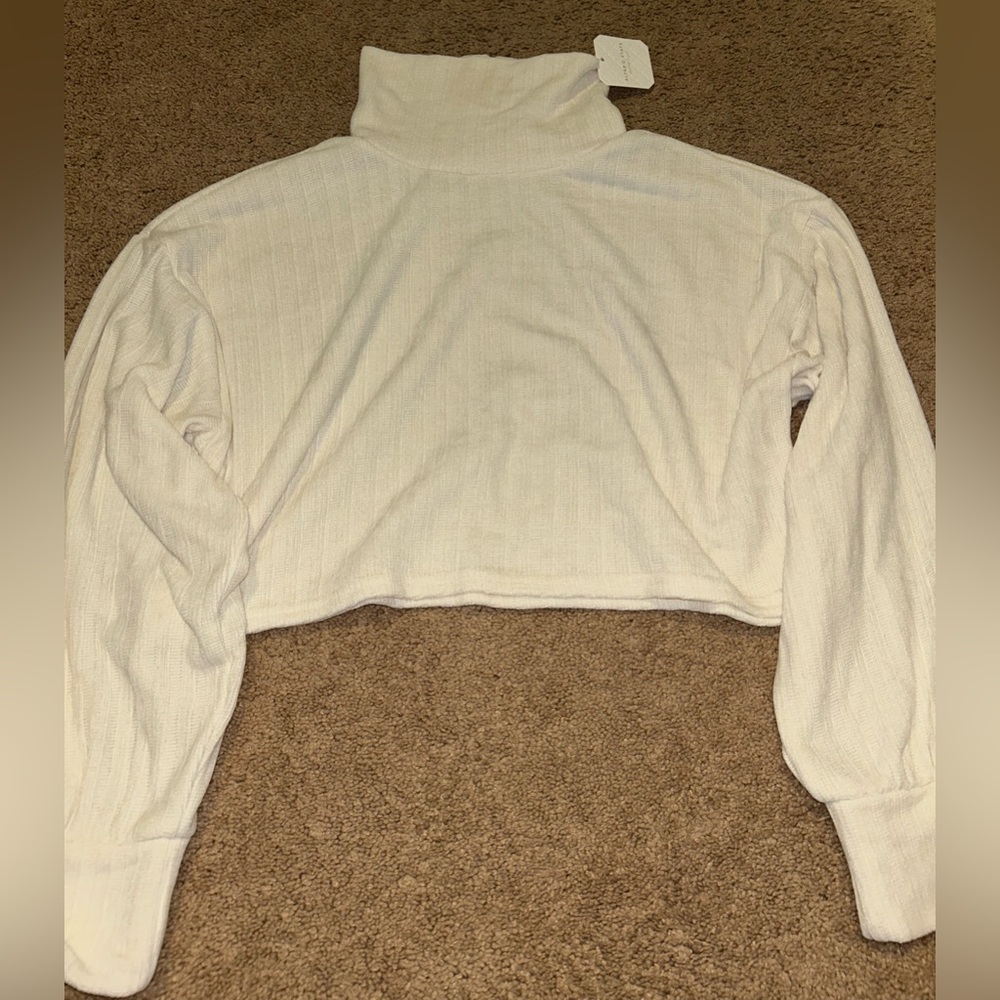 NEW/NEVER WORN! neutral / beige / cream turtle neck sweater from Altar’d State